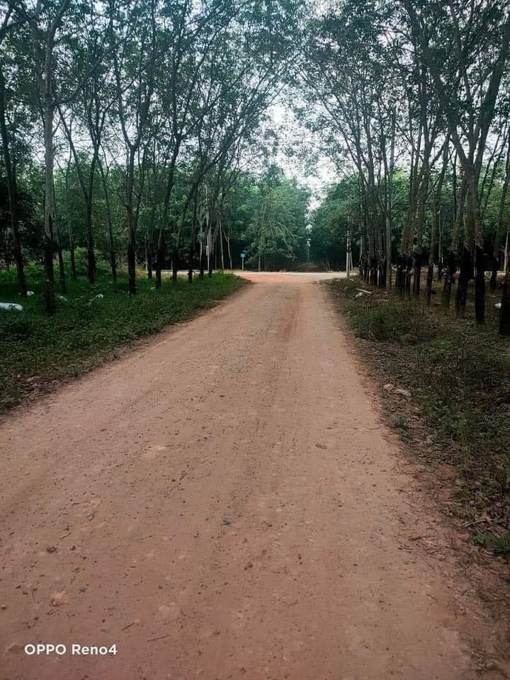 Sở Hữu Ngay Lô Đất Đẹp Tại Xã  Xã Long Nguyên, Huyện Bàu Bàng, Tỉnh Bình Dương