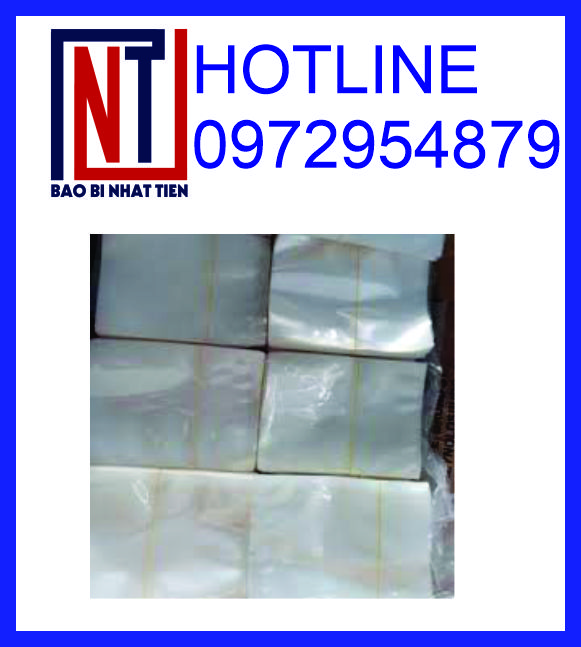 Túi PA hút chân không đựng thực phẩm