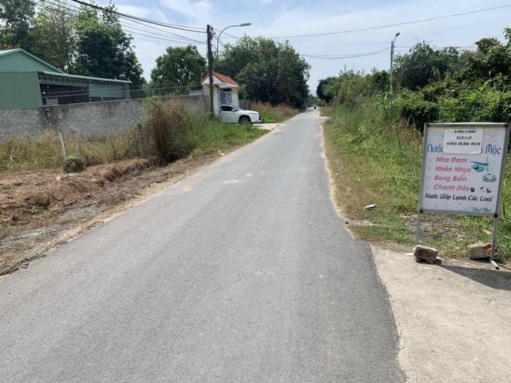 Cần bán đất ở Nguyễn Thị Nê, Xã Phú Hòa Đông, Huyện Củ Chi, Hồ Chí Minh