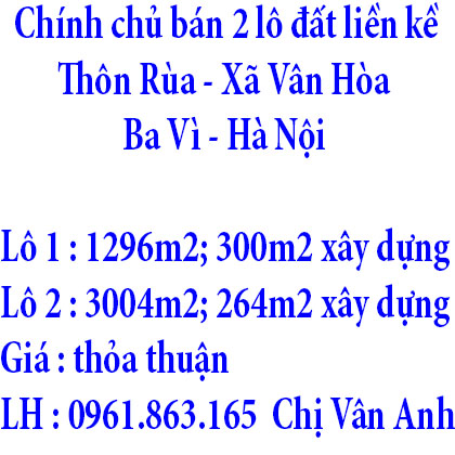 Chính chủ bán 2 lô đất liền kề tại Thôn Rùa, Xã Vân Hòa, Ba Vì, Hà Nội