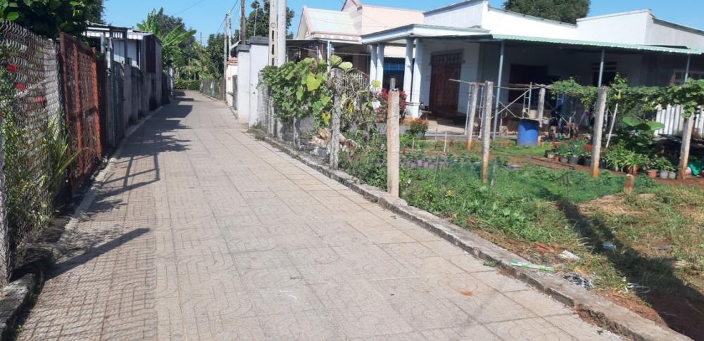 Đất nền thổ cư -Đất ngay Trung Tâm thị trấn Đất Đỏ, BRVT.