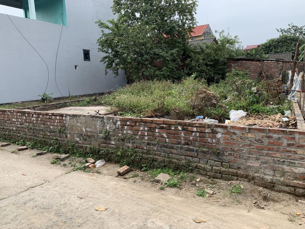 cần bán lô đất hơn 60m2 Thụy Lâm - Đông Anh