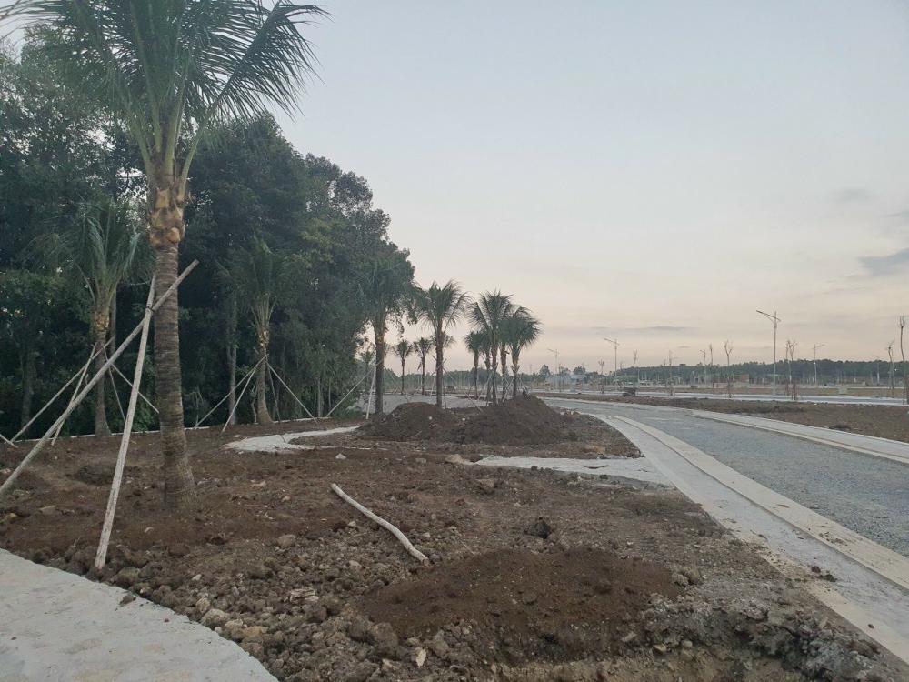 Cần Bán Nhiều Lô Đất Nền Dự Án Quốc Lộ 56, Trung Tâm Bà Rịa Vũng Tàu, Và Căn Hộ Tại Phú Mỹ