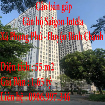 Cần bán gấp căn hộ Saigon Intela Bình Chánh