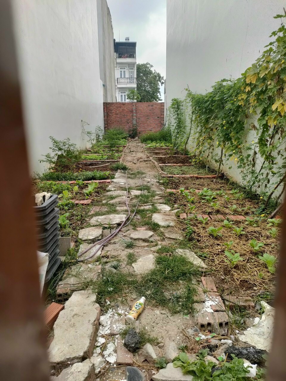 Bán đất thổ cư khu Sài Gòn Mới- Hẻm 67 Đào Tông Nguyên,KP7,Nhà Bè-Giá 4,5 tỷ