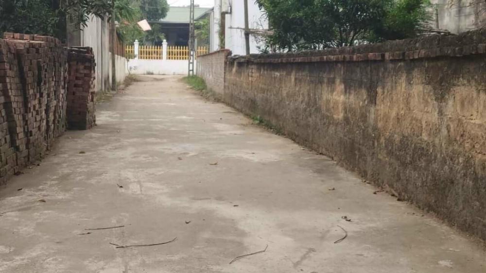 Chính Chủ Cần Bán Lô Đất Vị Trí Đẹp Tại Thanh Xuân - Gia Khánh Bình Xuyên - Vĩnh Phúc