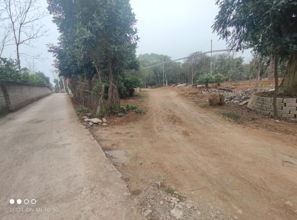 LÔ 3 MĂT TIỀN CỔ ĐÔNG SƠN TÂY 720M2