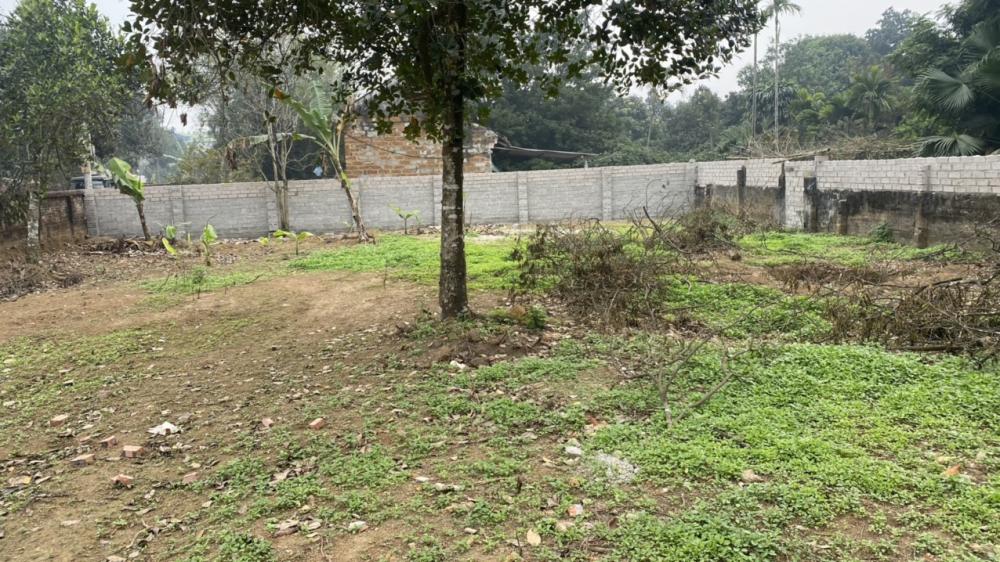 Lô đất đẹp có 102 chủ gửi bán giúp lấy tiền cho con đi nhật 464m2 2 mặt tiền