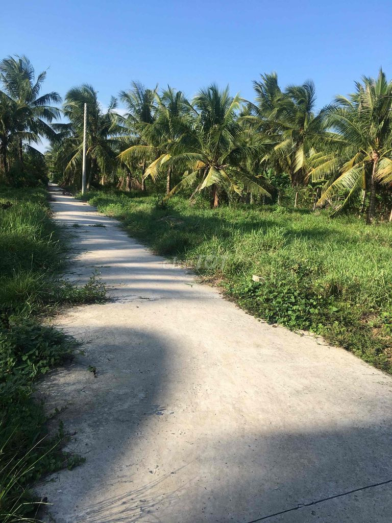 BÁN ĐẤT GIÁ SIÊU ĐẦU TƯ tại Phường Phú Tân, Thành phố Bến Tre, Bến Tre