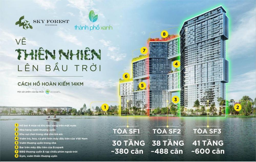 Sở Hữu NgayTuyệt Tác  Sky Forest - Vẽ thiên nhiên lên bầu trời