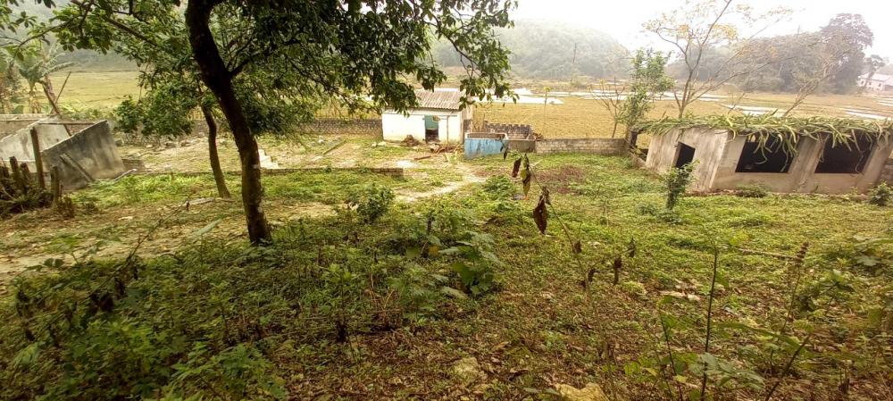 Bán nhanh lô đất thổ cư view cánh đồng cực đẹp tại Tân Lạc, Hoà Bình